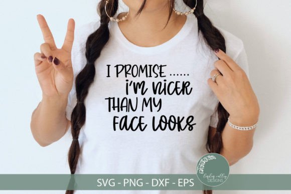 Review: Nicer Than My Face Looks SVG for Embroidery